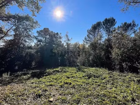 vente terrain 7000 m² à serviers-et-labaume (30700)  149 000 €