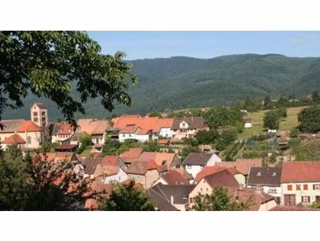 terrain 1000 m² libre d'architecte !