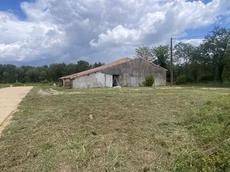 terrain constructible