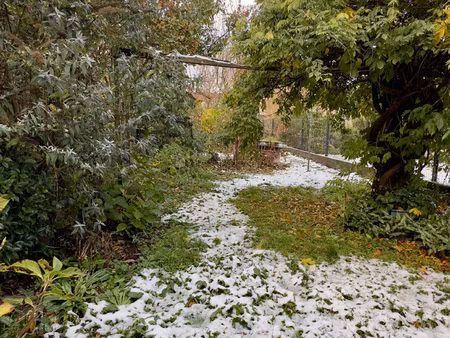 achat maison 5 pièces 127m² villeneuve d ascq 59493