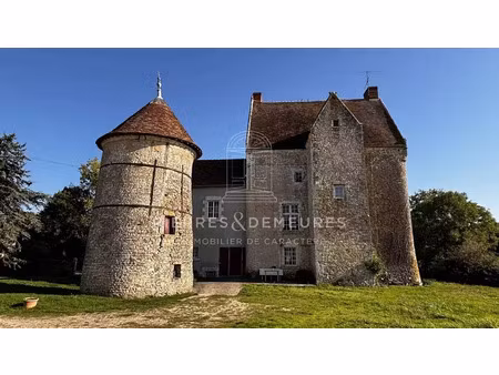 vente manoir 5 pièces 203 m² à neuillay-les-bois (36500)  415 160 €