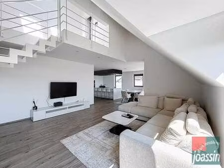 duplex lumineux avec terrasse  vue campagne et suite parenta