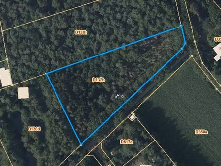 terrain à vendre à gierle € 65.000 (lhov0) - heylen vastgoed - turnhout | zimmo