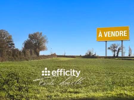 terrain à vendre