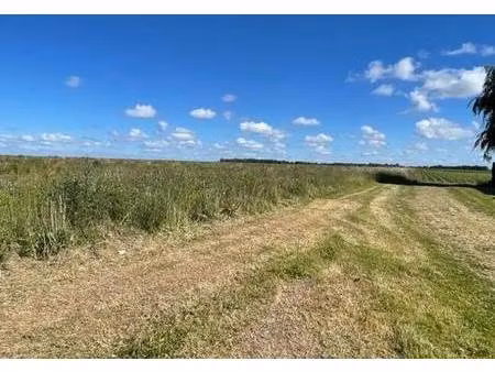 terrain constructible viabilisé à vendre