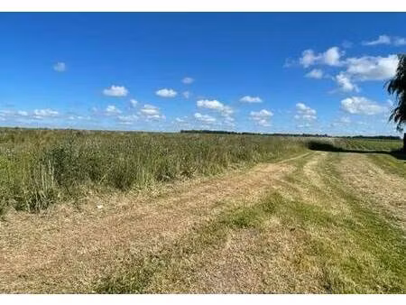 terrain constructible viabilisé à vendre