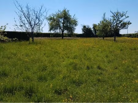 terrain 690 m² potigny