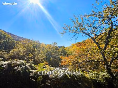 terrain 1 729 m² castans