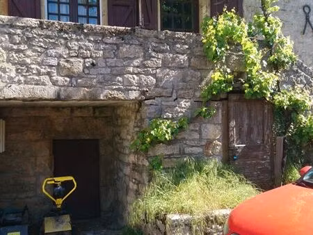 belle maison de village avec jardin