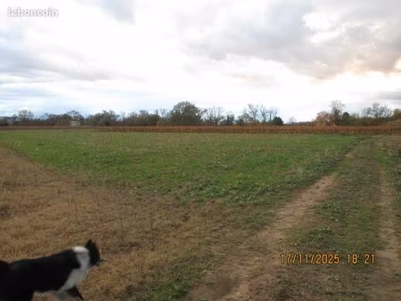 terrain agricole bio irrigable