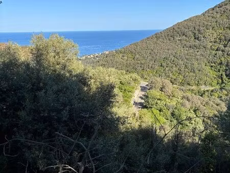 vds terrain san martino di lota