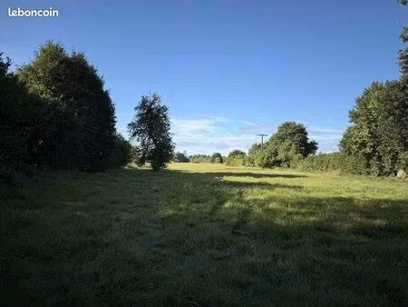 terrain à bâtir taillette 2500m²