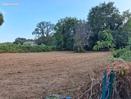 terrain 1300 m² santa lucia di moriani