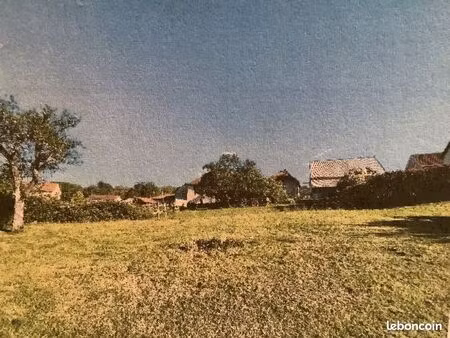 terrain constructible