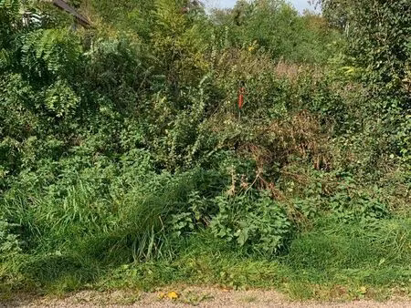 terrain naturel non constructible en friche total