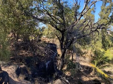 terrain 1630 m² saint-pierre