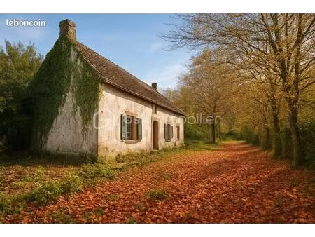 longère 3 pièces 66 m²