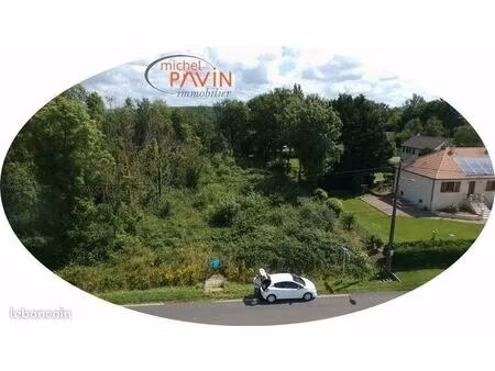 terrain 1829 m² jouet sur l aubois