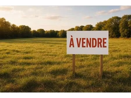 terrain à vendre