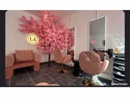 annonce : institut de beauté & coiffure fonds de commerce à saisir 20 000