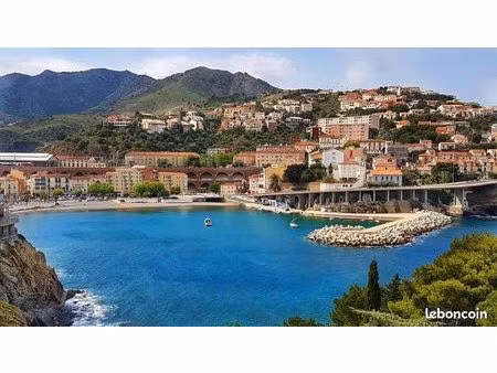 à louer : local multifonctionnel de 50 m² – emplacement premium à cerbère