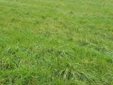 terrain a batir foulayronnes