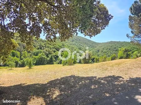 terrain 4 553 m² montauriol