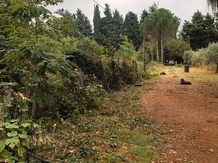 terrain 7000m2 pour projet agricole