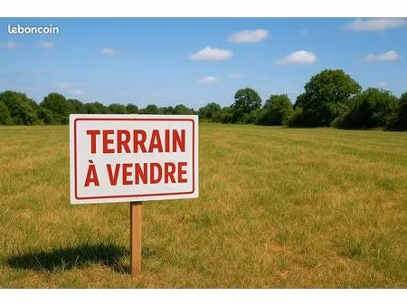 terrain constructible