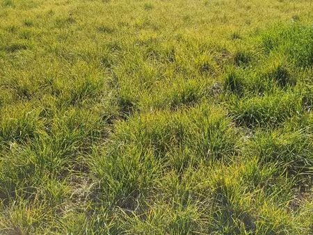 terrain 851 m² st maurice sur eygues