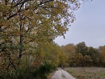 vends terrain agricole  exploitation 4 hectares autonome en électricité et eau  avec bâtis