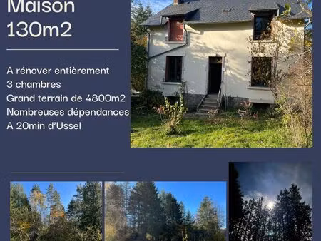 maison a rénover entièrement - fort potentiel et grand terrain arboré