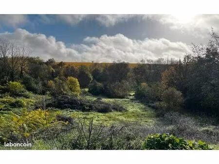 terrain 4 540 m² fleurac