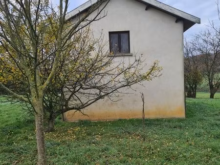 terrain 1 hectare avec garage