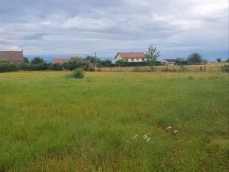 terrain constructible