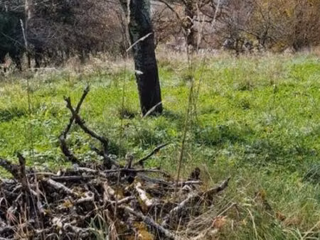 vergers sur salins-les-bains