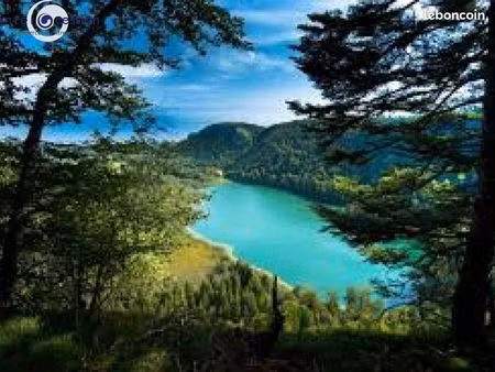 local commercial 80 m² lons le saunier