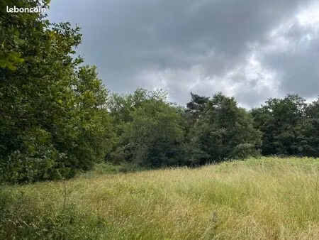 terrain 5 159 m² bassillac et auberoche