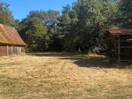 terrain constructible