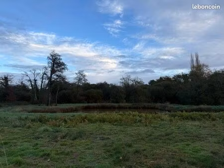 terrain non constructible 1000 m² en pleine nature  proche zone urbaine – 22 000