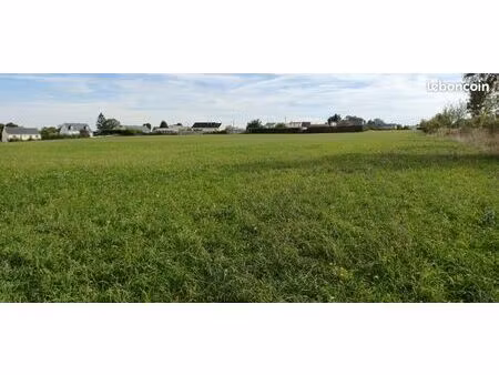 terrain de loisir 8000 m² de nature proche ancenis