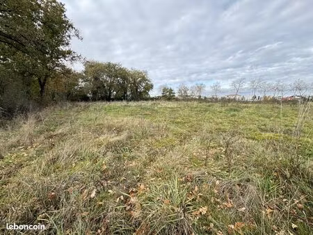 terrain 1177 m² fonsorbes