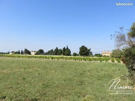 terrain 1173 m² violès