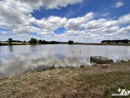 terrain 37090 m² mervans