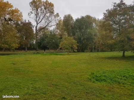 terrain constructible