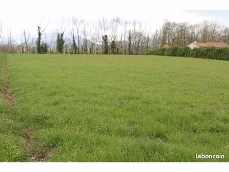 terrain constructible