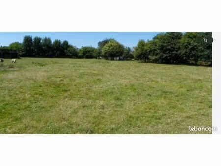 opportunité terrain à bâtir