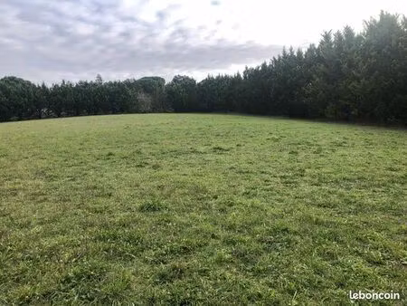 terrains plats vieille toulouse (31320)