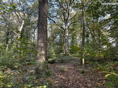 terrain 117817 m² hautefeuille