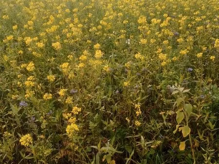 cherche terrain exploitation agricole